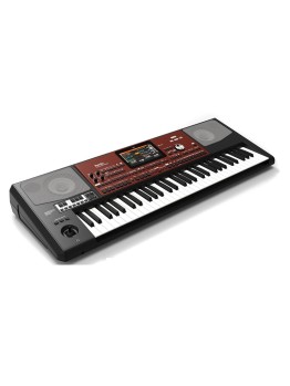 Korg Pa700 Oriental 61-key Arranger Workstation ( With Indian , Persian Styles )